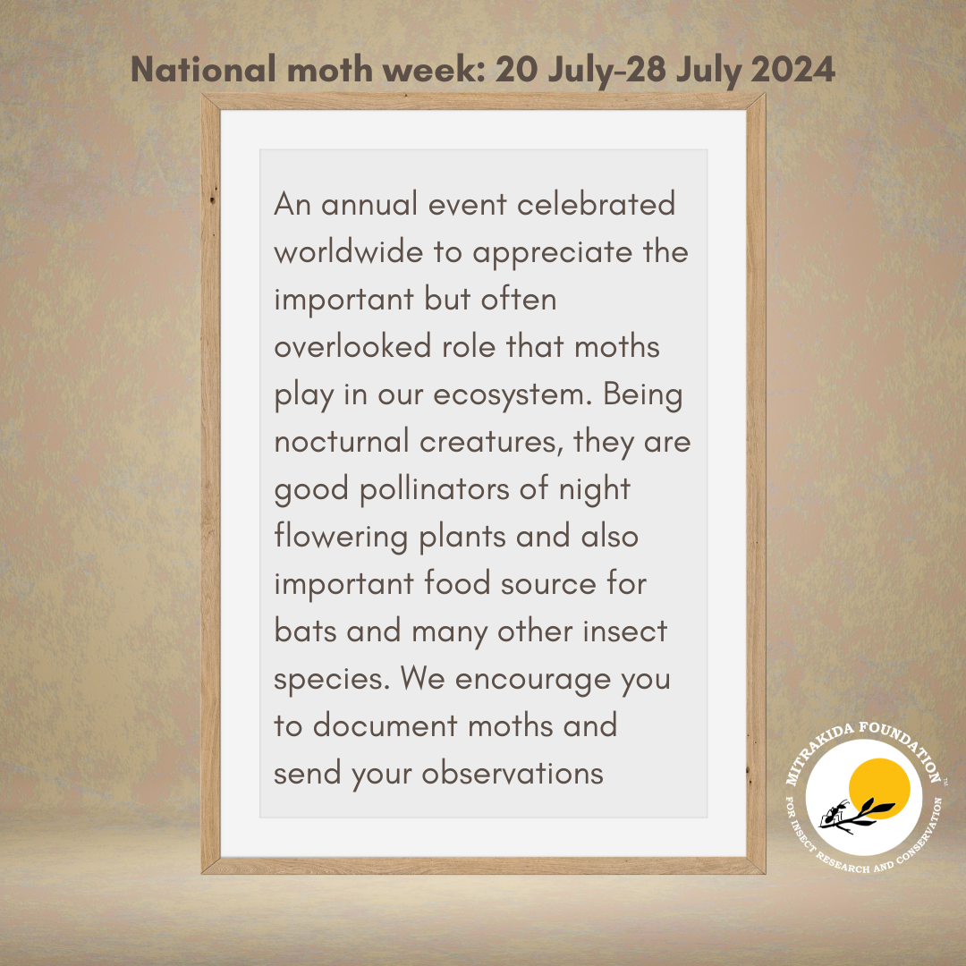 Moth Week 2024 | Mitrakida Foundation