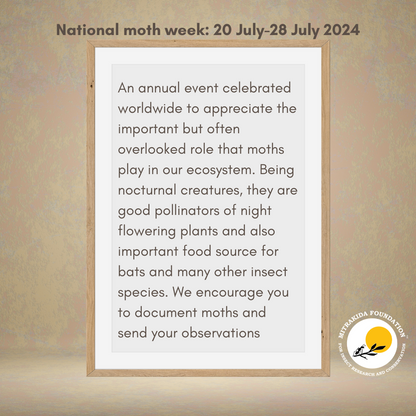 Moth Week 2024 | Mitrakida Foundation